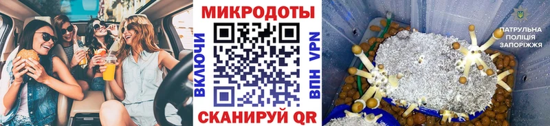 Купить закладки  Кирс  Псилоцибиновые грибы ЛСД 