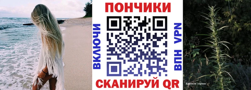 Бошки марихуана планчик  Купить закладки  Кирс 